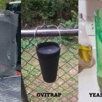 DIY Mosquito Control in Jupiter Florida