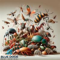 Eco-Friendly Pest Control Jupiter