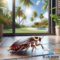 Blue Door Pest Control - Cockroach Treatment