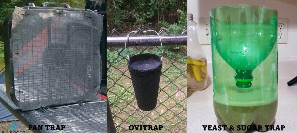 DIY Mosquito Control in Jupiter Florida